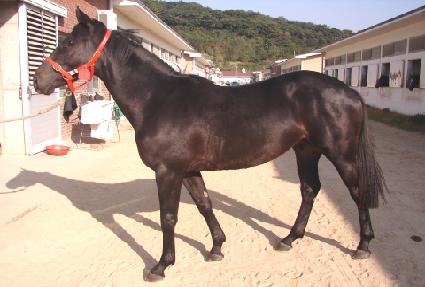 ��� ����