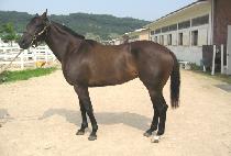 �ٶ��Ǿ�� (BARAMUI EONDEOK) ����