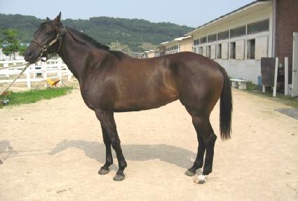 �ٶ��Ǿ�� ����