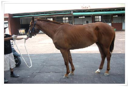 �Ƴ��̽� ����