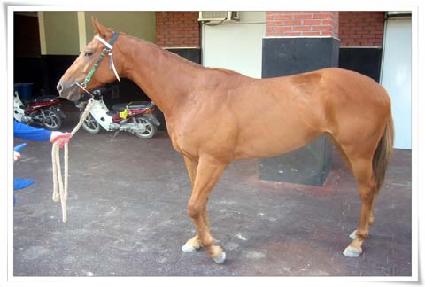 �ʵ���̳� ����