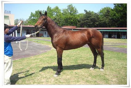 ����è�Ǿ� ����