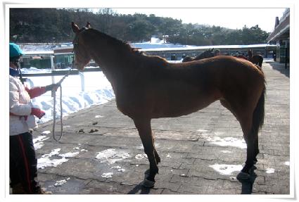 �ﺰ�� ����