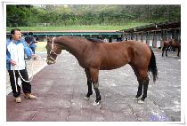 ���̽��Ǹ� (HIGH SPIRIT) ����