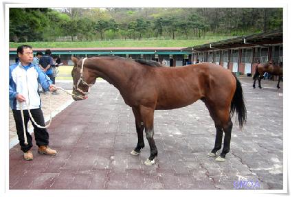 ���̽��Ǹ� ����