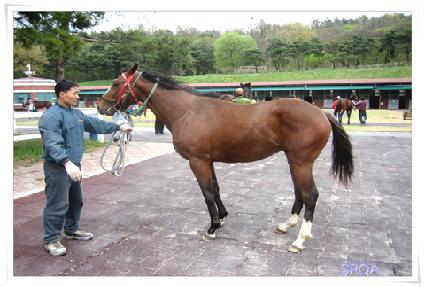 �̻� ����