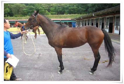 ��õ��Ʈ ����