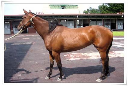 �޺����� ����