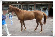 ���̽�Ű�� (NICE KEEPING) ����