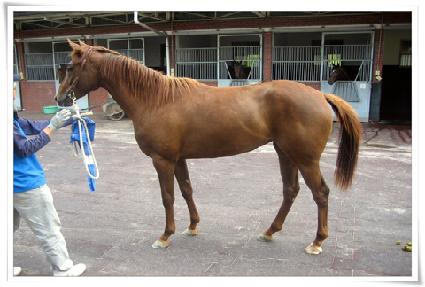 ���̽�Ű�� ����