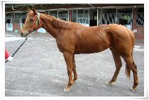 �ٺ��� (DABIDIBEU) ����