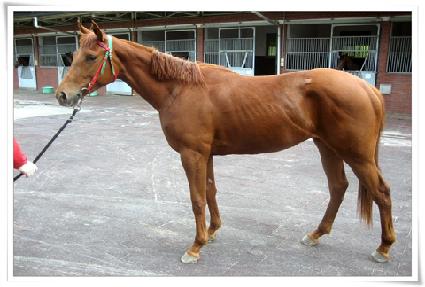 �ٺ��� ����