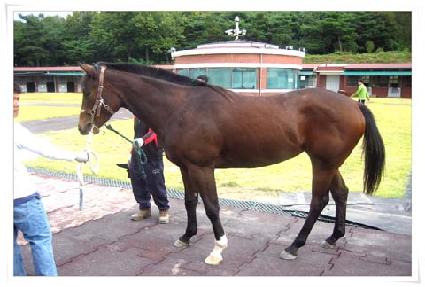 ������ ����