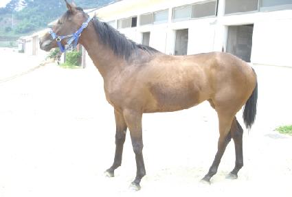 ���͹� ����