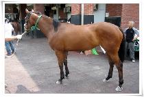 ���۹��� (SUPER BATON) ����