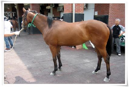 ���۹��� ����