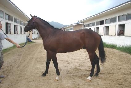 �ϼ�Ÿ�̰� ����