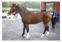 �ָ����� (JUMALLYEOJE) ����