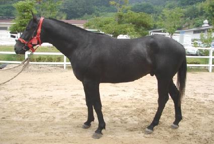 ���ۿ��̽� ����