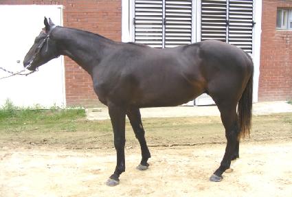 ������� ����