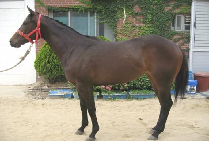 ������ ����