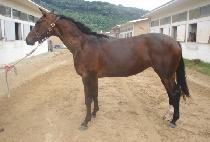 �޺����� (HAETBIT CHALLAN) ����