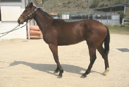 ��� ����