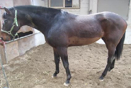 ������Ĺ ����