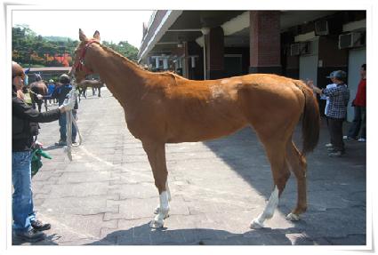 ������� ����