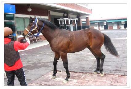 ��õ���� ����