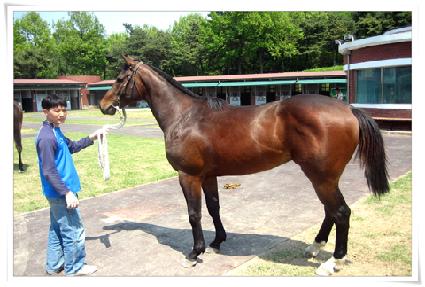 ��������Ʈ ����