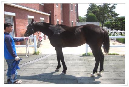 �Ϸ�������� ����