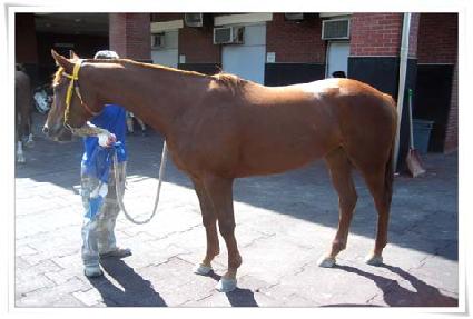 �ÿ������� ����