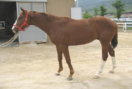 �������� ����