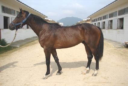 ����Ʈ���ǵ� ����