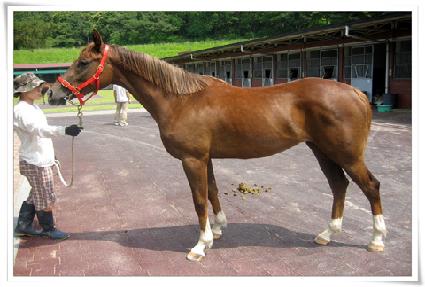 ������Ű ����