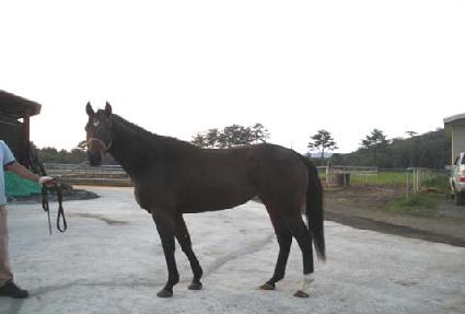 �ٸ��� ����