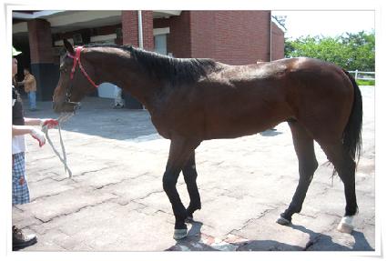 ��ϻ�� ����