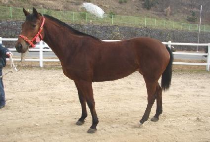 ���ӿ��� ����