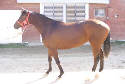 ĵ�� ����