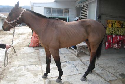 ����Ű�� ����