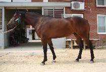 ��ȣ��� (BAEKHO GISANG) ����