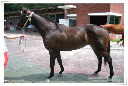 ���̵� ����