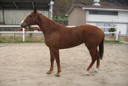 ������Ʈ ����