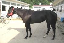 ������� (TOP HEROINE) ����