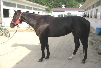 ������� ����