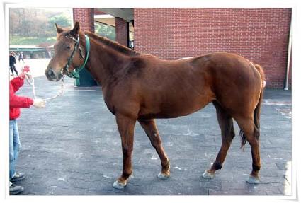 �̼��Ǿ� ����