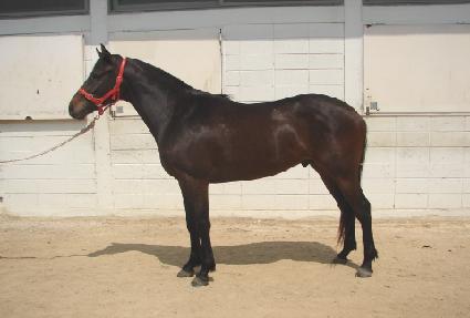 ��³��� ����