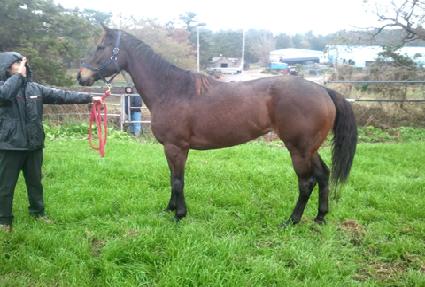 ������¡ ����