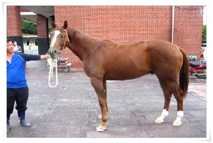 ��ī��Ǯ ����